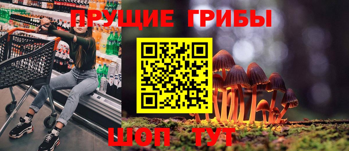 Каменка  Галлюциногенные грибы ЛСД  Вход с VPN 
